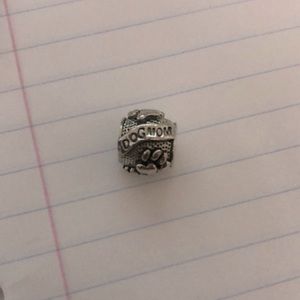 Pandora Bracelet charm